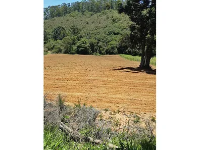 Lote/Terreno à venda, 26000m² no Itapeva, Itapeva