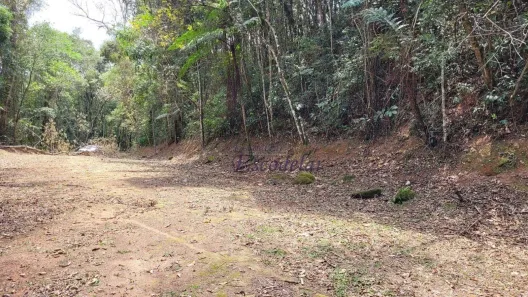 Lote/Terreno à venda, 1019m² no Caraguatá, Mairiporã