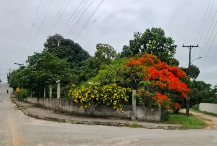 Lote/Terreno com 1 Quarto à venda, 172m² no Leigos, Saquarema