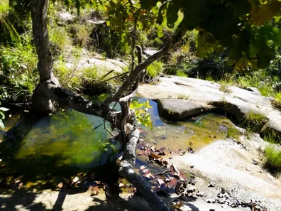 Fazenda/Sítio com 3 Quartos à venda, 170000m² no , Cromínia