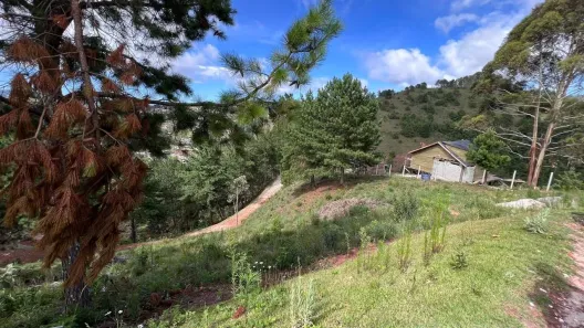 Lote/Terreno à venda, 1007m² no , Campos do Jordão