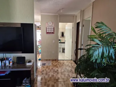 Apartamento com 2 Quartos à venda, 50m² no Jardim Alzira Franco, Santo André