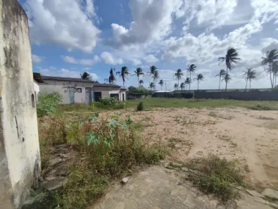 Lote/Terreno à venda, 40000m² no , Pureza