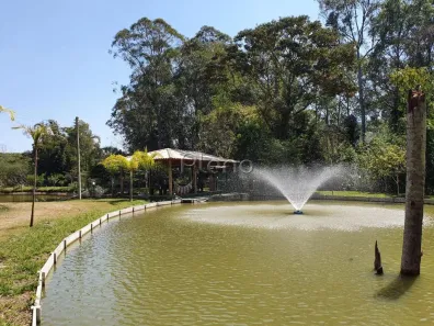 Fazenda/Sítio com 3 Quartos à venda, 37960m² no Vila Nova, Amparo