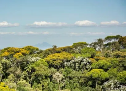 Lote/Terreno à venda, 250000m² no Aritaguá, Ilhéus