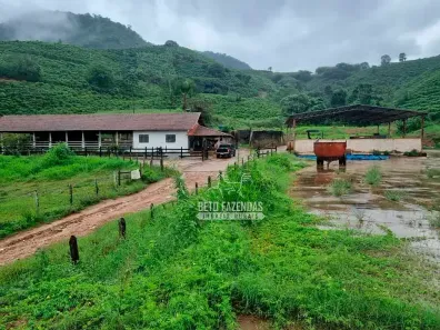 Fazenda/Sítio à venda, 1000000m² no , Santa Rita do Sapucaí