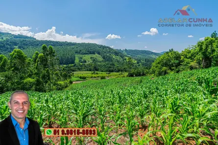 Fazenda/Sítio à venda, 50000m² no Zona Rural, Igrejinha