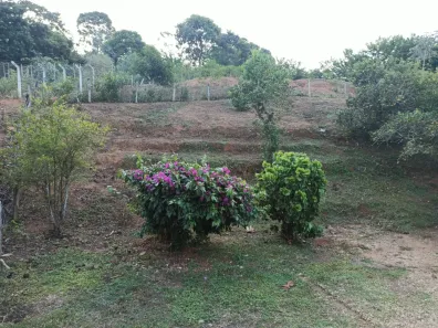 Fazenda/Sítio com 4 Quartos à venda, 4000m² no Centro, Lorena