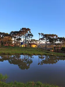 Fazenda/Sítio com 5 Quartos à venda, 264779m² no Centro, Bom Jardim da Serra