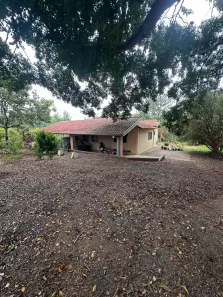 Fazenda/Sítio com 3 Quartos à venda, 60500m² no Área Rural de Monte Aprazível, Monte Aprazível