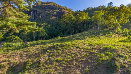 Lote/Terreno à venda, 5073m² no Itaipava, Petrópolis