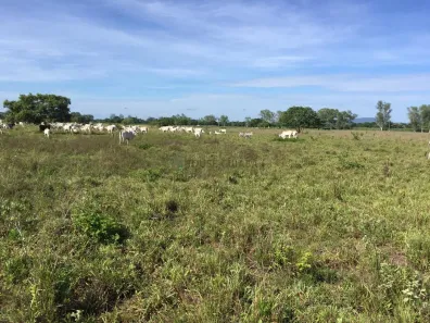 com 3 Quartos à venda, 280m² no , Nobres