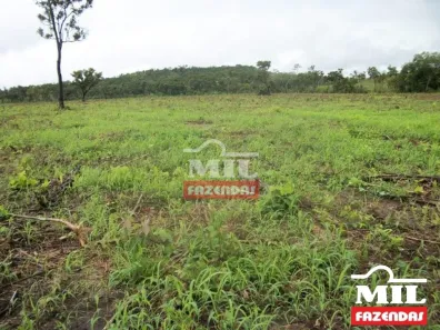 Fazenda/Sítio à venda, 1m² no , Pedro Afonso