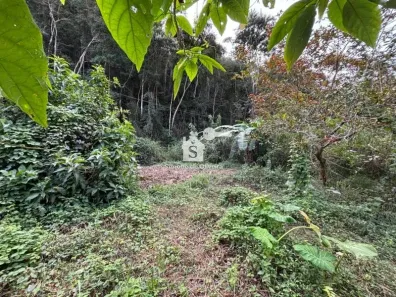 Lote/Terreno à venda, 940m² no Araras, Petrópolis