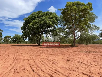 Fazenda/Sítio à venda, 500m² no , Bom Jardim de Goiás