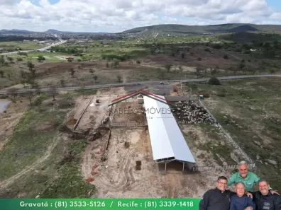 Fazenda/Sítio à venda, 3100000m² no Gameleira, Bezerros