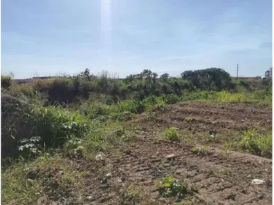 Lote/Terreno à venda, 10000m² no Loteamento Bom Jardim, Sinop