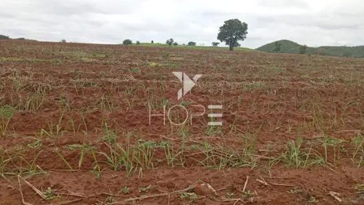 Fazenda/Sítio com 1 Quarto à venda, 12584000m² no Zona Rural, Mozarlândia