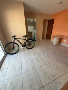 Apartamento com 3 Quartos para alugar, 90m² no Vila Paranaguá, São Paulo