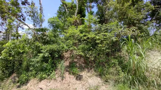 Lote/Terreno à venda, 1008m² no Jardim Umuarama, Itanhaém