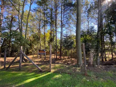 Lote/Terreno à venda, 360m² no Campestre, São Leopoldo