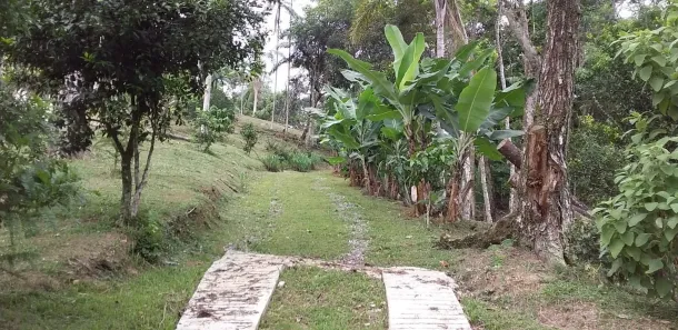 Casa com 4 Quartos à venda, 300m² no Espinheiros, Itajaí