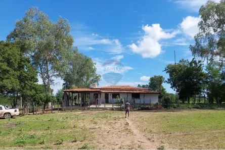 Fazenda/Sítio com 3 Quartos à venda, 250m² no Ibotirama, Ibotirama
