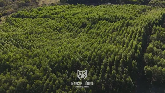 Fazenda/Sítio à venda, 330m² no , Engenheiro Navarro