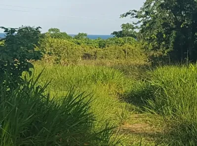 Fazenda/Sítio à venda, 12700m² no Praia Bela, Pitimbu