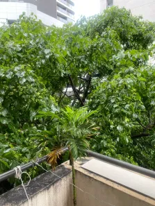 Apartamento com 2 Quartos à venda, 82m² no Pinheiros, São Paulo