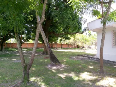 Fazenda/Sítio com 4 Quartos à venda, 10000m² no Centro, Dias D'Ávila