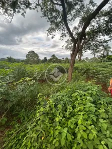 Fazenda/Sítio à venda, 4441m² no , Hidrolândia
