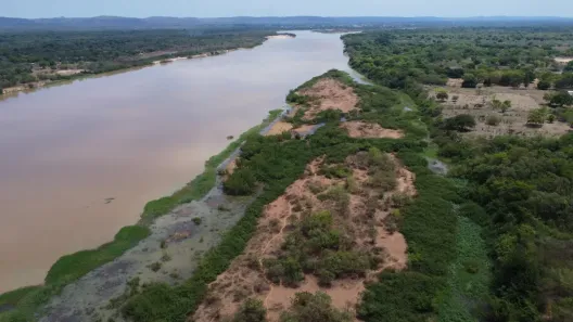 Fazenda/Sítio à venda, 5000000m² no , Januária