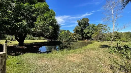 Fazenda/Sítio com 3 Quartos à venda, 786501m² no Zona Rural, Inocência