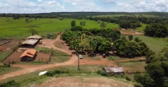Fazenda/Sítio com 5 Quartos à venda, 615m² no Centro, Morro da Garça