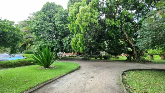 Fazenda/Sítio com 6 Quartos à venda, 562m² no Aldeia dos Camarás, Camaragibe