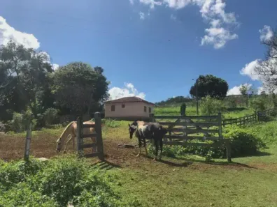 Fazenda/Sítio com 6 Quartos à venda, 1120000m² no , Oliveira
