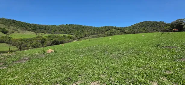 Fazenda/Sítio à venda, 10000m² no Povoado Eixo Quebrado, Brumadinho