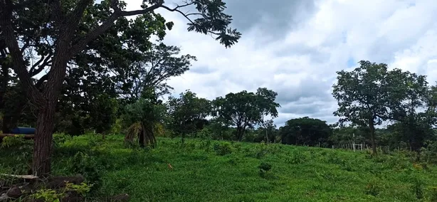 Lote/Terreno à venda, 1000m² no , Matozinhos
