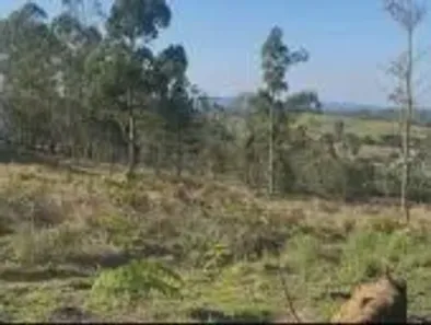 Lote/Terreno à venda, 500m² no Cupim, Ibiúna