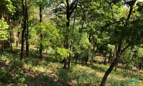 Lote/Terreno com 1 Quarto à venda, 9382m² no Residencial Aldeia do Vale, Goiânia