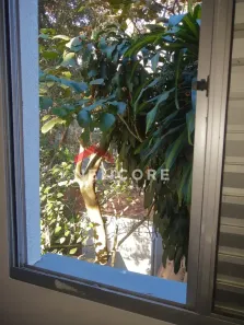 Apartamento com 2 Quartos à venda, 42m² no Colônia (Zona Leste), São Paulo
