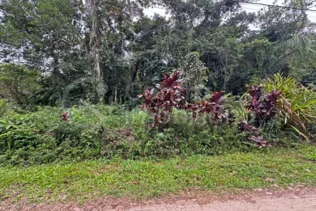 Lote/Terreno à venda, 490m² no Quinta do Guarau, Peruíbe