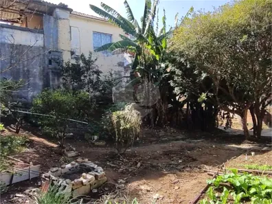 Lote/Terreno à venda, 494m² no Vila Gustavo, São Paulo