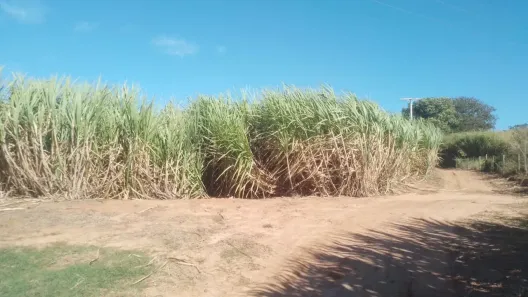 Fazenda/Sítio à venda, 233530m² no , Sebastianópolis do Sul