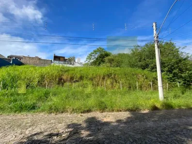 Lote/Terreno à venda, 491m² no Cristo Rei, São Leopoldo