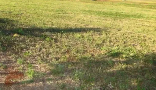 Lote/Terreno à venda, 275m² no Jardim Bela Vista, Americana