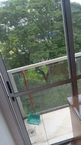 Apartamento com 2 Quartos à venda, 45m² no Arquipélago Verde, Betim