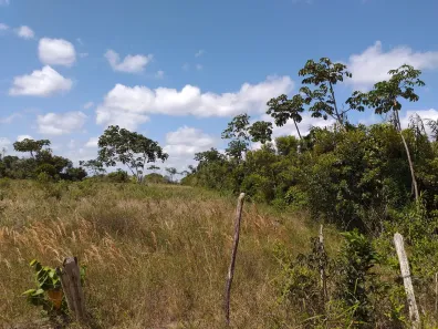 Lote/Terreno à venda, 5000m² no , Mata de São João