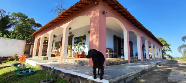 Fazenda/Sítio com 3 Quartos à venda, 600m² no Centro de Ouro Fino Paulista, Ribeirão Pires